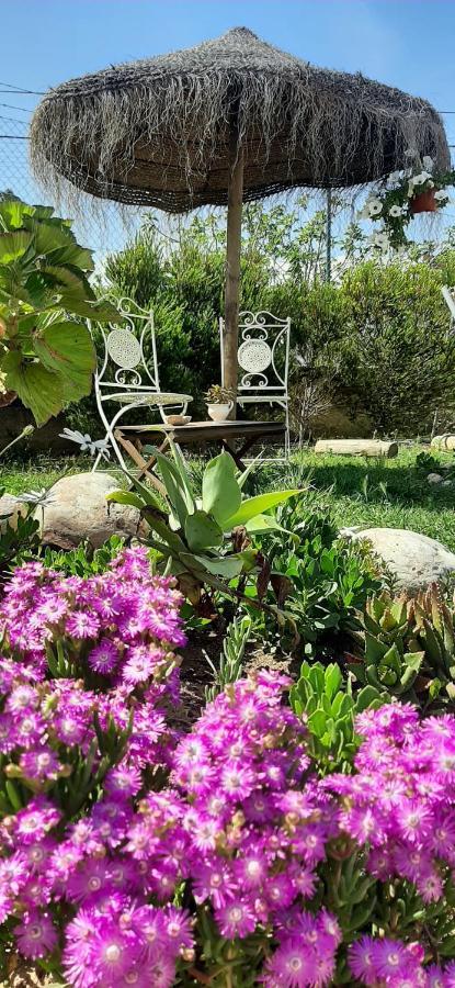 Blacksheep Sagres Guesthouse & Surf Eksteriør billede